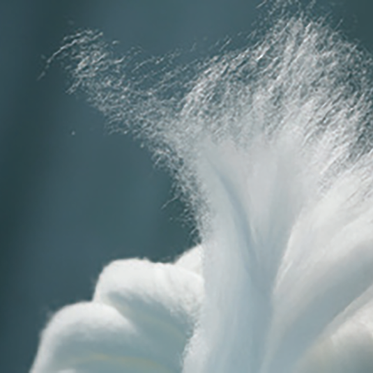 Aireloom Mattress Preferred Luxetop Plush (M2) Bedroom & More