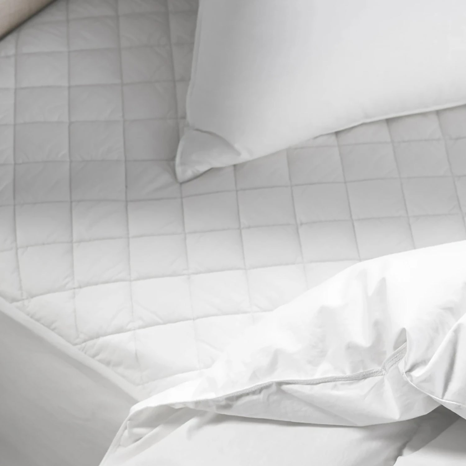 Coyuchi Organic Mattress Protector